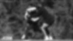 Official Site of the New York Jets
