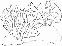 Coral Coloring Coral Reef Coloring Stuff Coloring Pages Art Drawings Drawing Coral Coral Drawing Coral Reef Drawing Coral Drawing Coral Reef Art