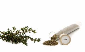 Maybe you would like to learn more about one of these? Thyme Propagation How To Propagate Thyme Plants