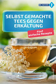 Welcher Tee Bei Erkaltung So Vertreiben Sie Mit Hagebutten Co Fiese Erkaltungen Br De Tee Hagebutte Tee Selber Machen
