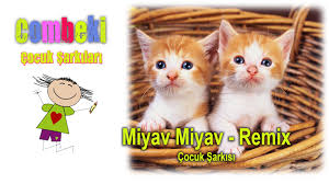 Miyav Miyav Remix Kopmalik Dinle Komik Kediler Tintin Kedi