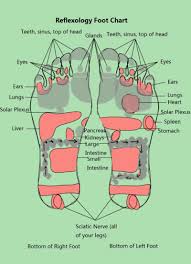 71 Organized Ear Reflexology Chart Download