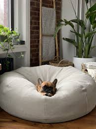Brucethefrenchbully Sixpenny Mochi Beanbag Take A Seat Bedroom Inspirations Apartment Living Room