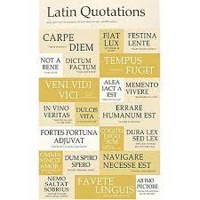 53 Ideas Tattoo Quotes Greek Latin Phrases Latin Quotes Latin Quotes Inspirational Latin Quote Tattoos