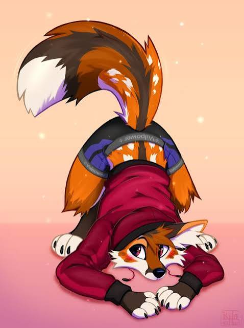 Silly Fox <3 [KitaKettu] : r/furry