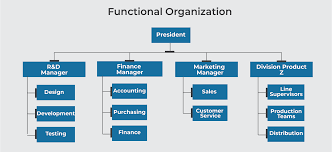 Companies come in different sizes. 8 Types Of Organizational Structures In Project Management