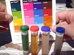 How To Test Your Soil Gardening Soil Testing Kit