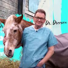 Neben einigen hausbesuchen, bei denen dr. Dr Dreesen Tierarzt Aus Leidenschaft Home Facebook