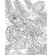 How to download these sea turtle coloring pages. Adult Turtle Coloring Pages Vector Images 78