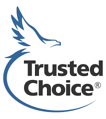 Central insurance agency is prepared to provide you with a custom insurance solution to fit your needs. Three Reasons To Choose Trusted Choice Central Insurance Companies