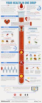 Pin On Information Charts