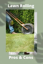 A diy lawn striper is essentially something that gives your lawn that striped appearance that you often see on baseball fields and sometimes golf courses and football fields. Does Lawn Rolling Work Lawn Rolling Benefits And Drawbacks