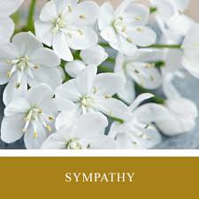 Check spelling or type a new query. Flowers Limerick Limerick Flowers Flowers In Limerick Lawless Flowers Limerick Ireland
