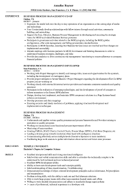 business process management resume
