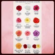 Petals Rose Color Options Rose Color Meanings Rose Meaning Petals