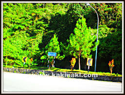 Jika anda hendak menaiki bas ke genting highland, lebih mudah untuk mendapatkan bas dari tbs. Percutian Ke Genting Highland Kakinakl S Blog