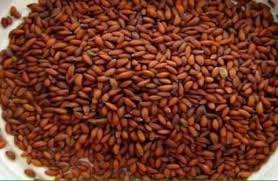 فوائد حب الرشاد واضرارة الوصفة السحرية Dog Food Recipes Food Animals Food