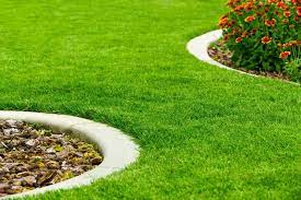 How To Grow Grass From Seed The Best Way Modern Design In 2020 Growing Grass Lawn And Garden Lawn