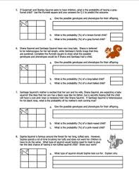 The allele for dimples (d) is dominant to the allele for no dimples (d). Worksheet Squirrel Genetics With Monohybrid Crosses Part B Tpt