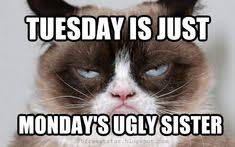 Tuesday meme, funny happy tuesday. Funny Tuesday Quotes To Be Happy On Tuesday Morning Tuesday Quotes Funny Morning Quotes Funny Happy Tuesday Quotes