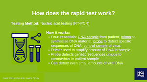 Rapid Test What Does It Do Health Articles Hkumed