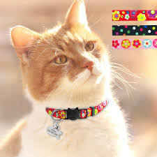Free shipping for many items! Breakaway Personalized Cat Collar With Bell Safety Kitten Name Necklace Tag Shopee Singapore