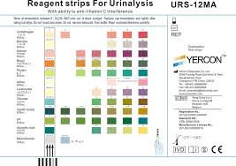Siemens Urine Test Strip Color Chart Best Picture Of Chart