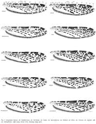 No hp janda muda cantik banget area palanggkaraya, kalteng. Scielo Brasil Revision Of The Leucosphyrus Group Of Anopheles Cellia Diptera Culicidae Revision Of The Leucosphyrus Group Of Anopheles Cellia Diptera Culicidae