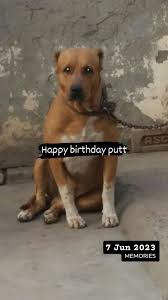 Dilpreet - Happy Birthday Timma | Facebook