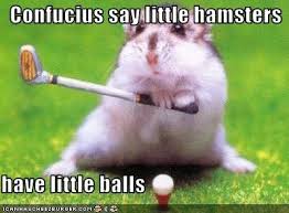 Funny confuscious happy birthday / 20 outrageously hilarious birthday memes [volume 2. 54 Confucius Ideas Confucius Say Confucius Quotes Sayings