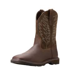 Image result for Earth Brown 2020 Fleet