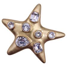 star brooch pin