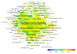 Image result for Hyperuricemia