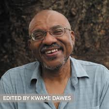 Amazon.com: NANE: New-Generation African Poets: A Chapbook Box Set:  9781617759505: Dawes, Kwame, Abani, Chris: Books