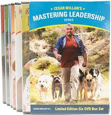 Cesar millan offers biden advice on white house dogs. Cesar Millan Dvd Series Mastering Leadership Dvd Series