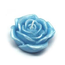 Zest Candle 3 In White Rose Floating Candles 12 Box Cfz 067 The Home Depot In 2021 Floating Candles Blue Floating Candles Rose Candle