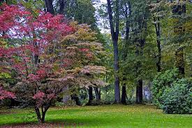 Engl Garten Eulbach Picture Of Englischer Garten Eulbach Michelstadt Tripadvisor