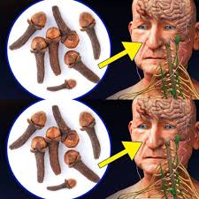 Herbal Remedies for Various Health Issues