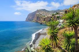 Nova acessibilidade à entrada 84 do caminho do curral velho, santo antónio. Camara De Lobos And Funchal Hop On Hop Off Bus Tour 2021 Madeira