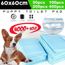 Cat harness best cat houses best water bowl for cats best pet odor neutralizer best cat litter mats best cat hammocks best cat muzzles best tunnels cat repellents cat strollers best cat chew toys cat backpacks outdoor cat enclosures christmas presents for cats cat exercise wheel. Puppy Pet Dog Indoor Cat Kitten Toilet Pee Training Pads Super Absorbent Diapers Walmart Canada