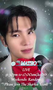 Mateo The Great Pig Pirate Korean