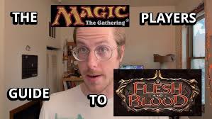 The Story of Frantic Search