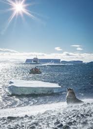 Image result for Earth Brown 2019 Fleet