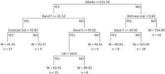 López-Serrano PM, López-Sánchez CA, Díaz-Varela RA, Corral-Rivas JJ,  Solís-Moreno Rú, Vargas-Larreta B, Álvarez-González