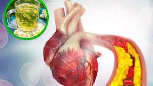 Manfaat teh chamomile didapat dari kandungan flavonoid, yaitu jenis senyawa yang berfungsi sebagai obat. Begini Cara Menjaga Kesehatan Jantung Seperti Dicontohkan Rasulullah Saw Serambi Indonesia