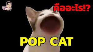 You want funko pop cat. à¸¡ à¸¡ Pop Cat à¸„ à¸­à¸­à¸°à¹„à¸£ Ep 47 à¸‰ à¸™à¸¡à¸²à¸† à¸²à¸¡ à¸¡ The Series Youtube