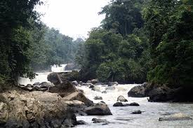 lusong laku 除了拍照再拍照 你也可以到河中嬉水 钓鱼 或者到附近森林健走 参观长屋等休闲活动 利瑙河盛产淡水鱼 如果你运气好的话 甚至可以用很便宜的价钱买到名贵淡水鱼 忘不了 empurau sarawak outdoor water