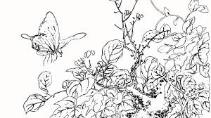 魔入りました 入間くん 最新話, 魔入りました 入間くん アニメ, 魔入りました 入間くん ネタバレ, 魔入りました 入間くん 無料, 魔入りました 入間くん 漫. å¡—ã‚Šçµµ ç„¡æ–™ ã¬ã‚Šãˆãƒ—ãƒªãƒ³ãƒˆ ç„¡æ–™ã¬ã‚Šãˆ