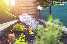 It's not full of chemicals, it's a natural insect repellent, and it's rot resistant. What Should I Line My Raised Garden Bed With