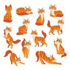 Red Cute Cat In Different Poses Vector Cartoon Flat Illustration Cat Vector Illustration Cat Illustration